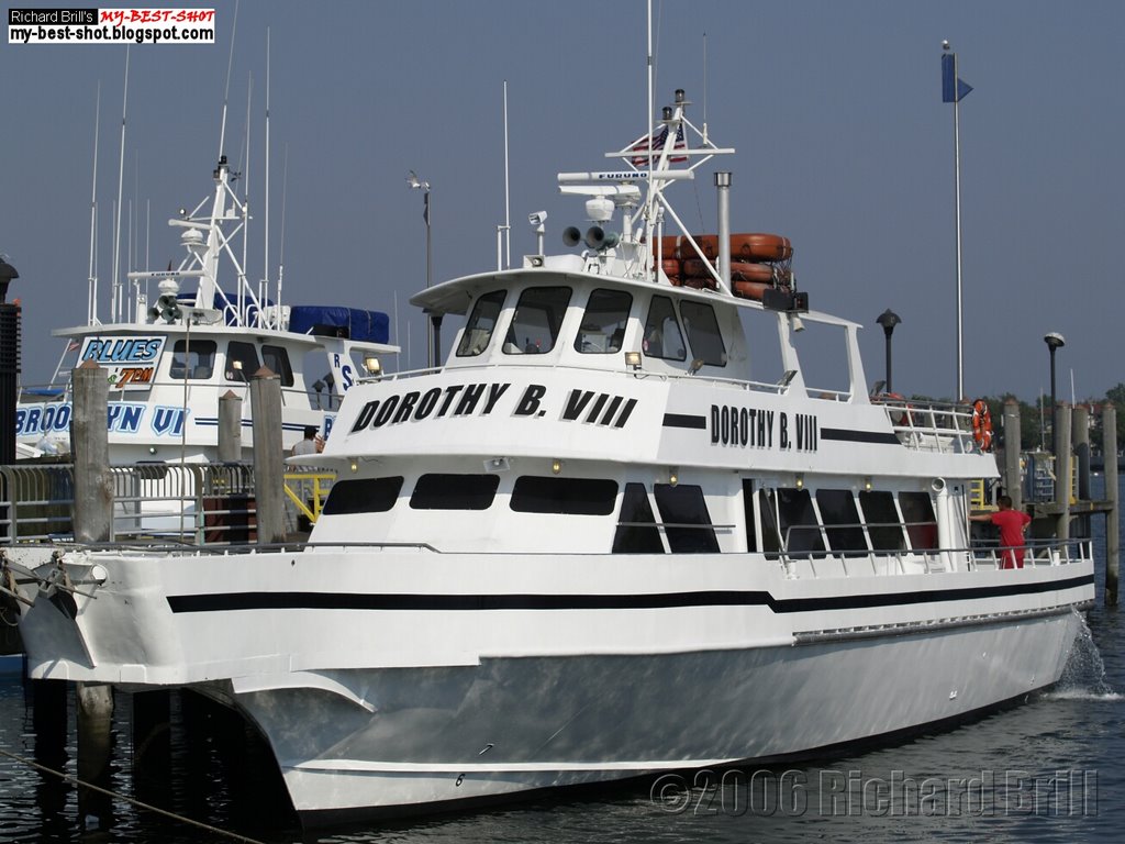 party boat fishing sheepshead bay brooklyn sheepshead bay fishing charters imgae fish 2018 party boat fishing sheepshead bay brooklyn sheepshead bay fishing charters imgae fish 2018